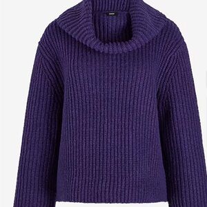 NWT Express Ribbed Cowl Neck Purple Sweater